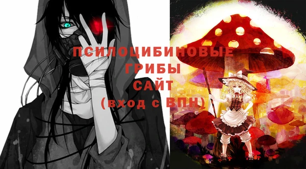 тгк Аркадак
