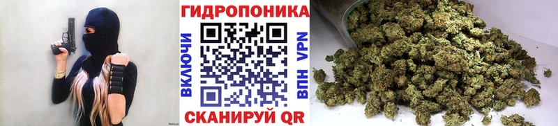 Бошки марихуана конопля Саяногорск